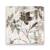 Tablou Canvas - Floral, Frunze, Umbre, Marime: 60 x 60 cm - - Roveli