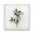 Tablou Canvas -Floral, Alb, Frunze, Marime: 60 x 60 cm - - Roveli