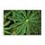 Tablou Canvas - Natura, Frunza, Verde, Marime: 80 x 120 cm - - Roveli