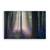 Tablou Canvas - Padure, Flori, Natura, Peisaj, Primavara, Marime: 80 x 120 cm - - Roveli