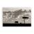 Tablou Canvas - Elefant I, Africa, Natura, Peisaj, Animal, Marime: 80 x 120 cm - - Roveli