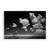 Tablou Canvas - Girafa, Africa, Natura, Peisaj, Animal, Marime: 80 x 120 cm - - Roveli