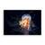 Tablou Canvas -  Meduza, Animal, Mare, Marime: 80 x 120 cm - - Roveli