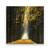 Tablou Canvas - Peisaj, Natura, Padure, Frunze, Drumetie, Toamna, Marime: 60 x 60 cm - - Roveli