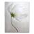 Tablou Canvas - Flori, Floare, Primavara, Alb, Marime: 60 x 75 cm - - Roveli