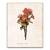 Tablou Canvas - Flori, Floare, Crizanteme, Primavara, Portocaliu, Marime: 60 x 75 cm - - Roveli
