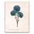 Tablou Canvas - Flori, Floare, Primavara, Albastru, Marime: 60 x 75 cm - - Roveli