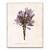 Tablou Canvas - Flori, Floare, Primavara, Mov, Marime: 60 x 75 cm - - Roveli