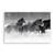Tablou Canvas - Cai, Iarna, Ninsoare, Animal, Marime: 80 x 120 cm - - Roveli