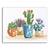 Tablou Canvas - Plante, Cactus, Vaze, Color, Marime: 60 x 75 cm - - Roveli