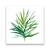 Tablou Canvas - Botanica I, Frunza, Verde, Marime: 60 x 60 cm - - Roveli