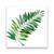 Tablou Canvas - Botanica V, Frunza, Verde, Marime: 60 x 60 cm - - Roveli