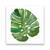 Tablou Canvas - Botanica VI, Frunza, Verde, Marime: 60 x 60 cm - - Roveli