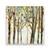 Tablou Canvas - Natura, Padure, Frunze, Toamna, Marime: 60 x 60 cm - - Roveli