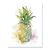 Tablou Canvas - Fructe, Ananas, Marime: 60 x 75 cm - - Roveli