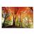 Tablou Canvas -  Prisma Luminii I, Copaci, Toamna, Marime: 80 x 120 cm - - Roveli
