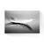 Tablou Canvas -  Pana, Animal, Pasare, Marime: 80 x 120 cm - - Roveli