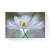 Tablou Canvas - Floare I, Petale, Alb,, Marime: 80 x 120 cm - - Roveli