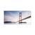 Tablou canvas - Pod, America, San Francisco, Golden Gate, Marime: 50 x 100 cm - - Roveli