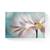 Tablou Canvas - Floare II, Petale, Alb,, Marime: 80 x 120 cm - - Roveli