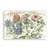 Tablou Canvas - Bujori, Flori, Jardin Au Printemps, Marime: 80 x 120 cm - - Roveli