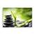 Tablou Canvas - Natura, Frunza, Verde, Pietre, Marime: 80 x 120 cm - - Roveli