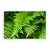 Tablou Canvas - Natura, Frunza, Marime: 80 x 120 cm - - Roveli