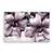 Tablou Canvas - Floral, Flori, Primavara, Pictura, Marime: 80 x 120 cm - - Roveli