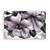 Tablou Canvas - Floral, Flori, Primavara, Marime: 80 x 120 cm - - Roveli