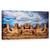Tablou Canvas - Lost City Of Gold, Fantezie, Arcuri, Utah, Sua, Peisaj, Compozit, Marime: 50 x 100 cm - - Roveli