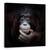 Tablou Canvas - Imaginea In Oglinda, Zambet, Maimuta, Fericit, Bucurie, Marime: 90 x 90 cm - - Roveli