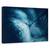 Tablou canvas - Papadie albastra, Flori, Picatura, Lumina, Tonifiat, Marime: 80 x 120 cm - - Roveli