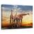 Tablou canvas - Flori, Apus De Soare, Nori, Safari, Marime: 60 x 90 cm - - Roveli