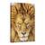 Tablou Canvas - Leul Serios, Leu, Natura Salbatica, Animal, Pisica, Par, Marime: 80 x 120 cm - - Roveli