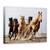 Tablou Canvas - Sasele Norocos, Cal, Actiune, Animale, Putere, Viteza, Marime: 75 x 100 cm - - Roveli