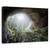 Tablou canvas - Privind spre cer, Peisaj, Copaci, Pestera, Raza De Soare, Marime: 80 x 120 cm - - Roveli