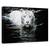 Tablou canvas - Privind la mine, privind la tine, Animal, Tigru, Scaldat, Apa, Marime: 80 x 120 cm - - Roveli