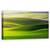 Tablou Canvas - Teren Verde, Domenii, Vara, Peisaj, Moravia, Verde, Luxurianta, Marime: 50 x 100 cm - - Roveli