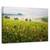 Tablou canvas - Primavara toscana, Peisaj, Italia, Ceata, Dimineata, Marime: 80 x 120 cm - - Roveli
