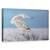 Tablou Canvas - Bufnita De Zapada, Peisaj, Pasari, Iarna, Zbor, Marime: 50 x 80 cm - - Roveli