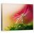 Tablou Canvas - Dimineata Rosie, Seminte, Picatura, Bland, Delicat, Marime: 60 x 75 cm - - Roveli
