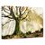 Tablou canvas - Noiembrie, Flori, Galben, Copac, Soare, Marime: 80 x 120 cm - - Roveli
