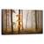 Tablou Canvas - Lumina in Noiembrie, Peisaj, Padure, Padure, Copac, Frunze, Frunze, Marime: 50 x 100 cm - - Roveli