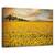 Tablou canvas - Floarea soarelui, Peisaj, Marime: 80 x 120 cm - - Roveli