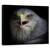 Tablou Canvas - Strigat De Razboi, Natura, Pasare, Vultur, Ochi, Agape, Cioc, Marime: 60 x 75 cm - - Roveli