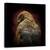 Tablou Canvas - Cineva Sa Se Uite La Mine, Ochi, Pasare, Savana Hawk, Marime: 90 x 90 cm - - Roveli