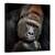 Tablou Canvas - Un Moment In Contact, Gorila, Animale, Marime: 90 x 90 cm - - Roveli