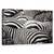 Tablou Canvas - Impreuna, Zebra, Dungi, Linii, Marime: 50 x 80 cm - - Roveli