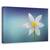 Tablou canvas - Floria Paradisului, Natura moarta, Turcoaz, Simplitate, Minimalism, Marime: 80 x 120 cm - - Roveli
