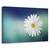 Tablou canvas - Flori, Vara, Verde, Culori Pastelate, Marime: 80 x 120 cm - - Roveli